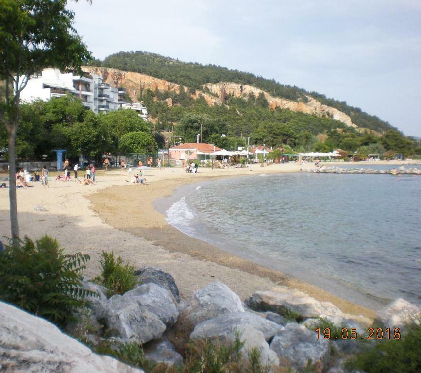 Aristi'S House Apartment Volos Bagian luar foto