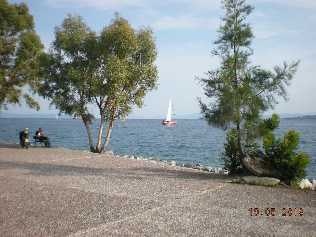 Aristi'S House Apartment Volos Bagian luar foto